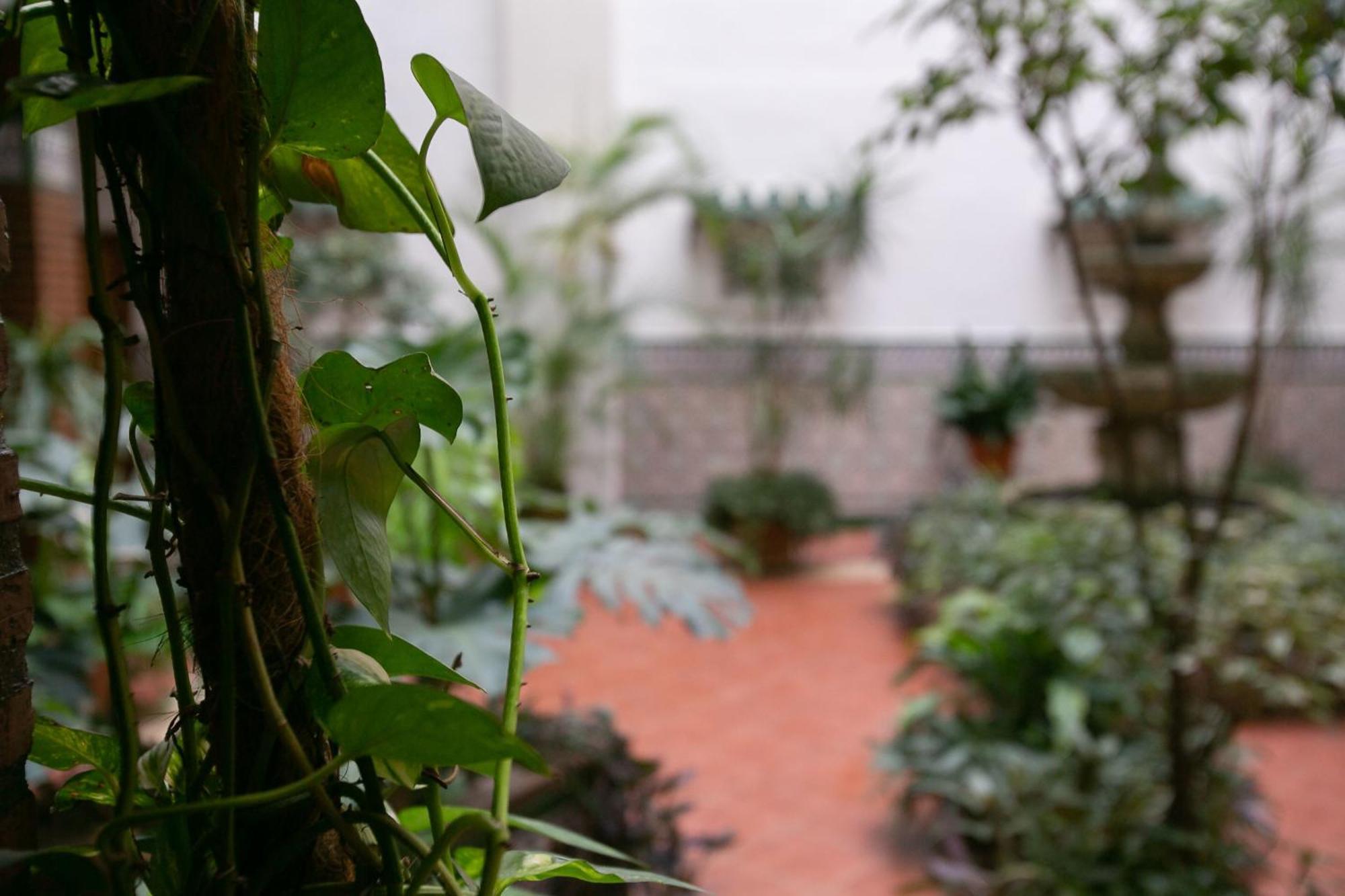 Apartamento Con Sabor A Málaga