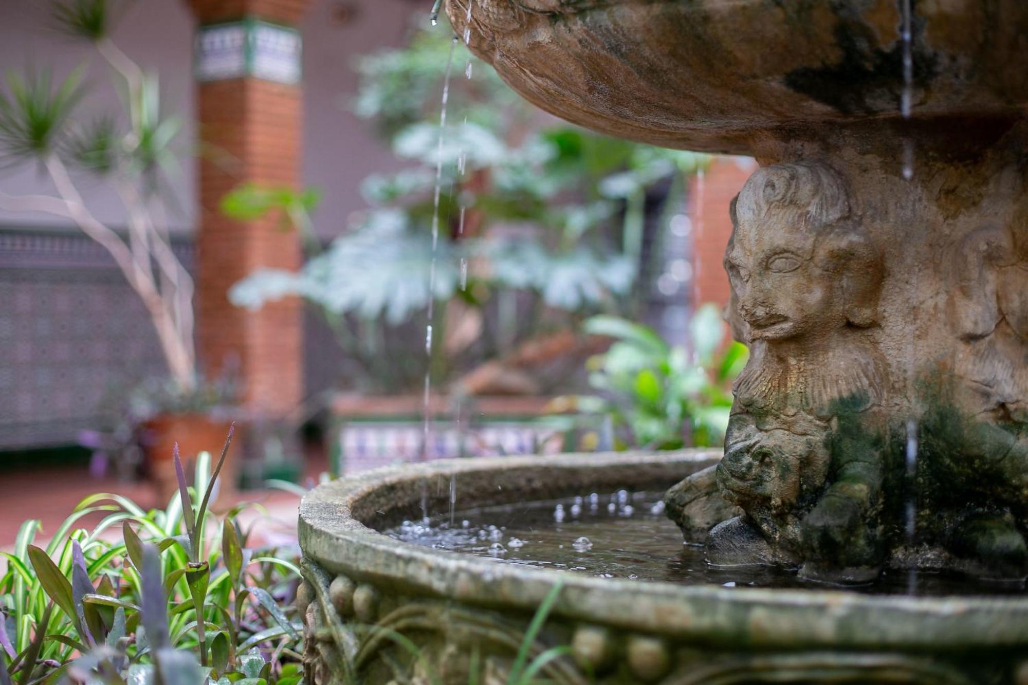 Con Sabor A Apartamento Málaga